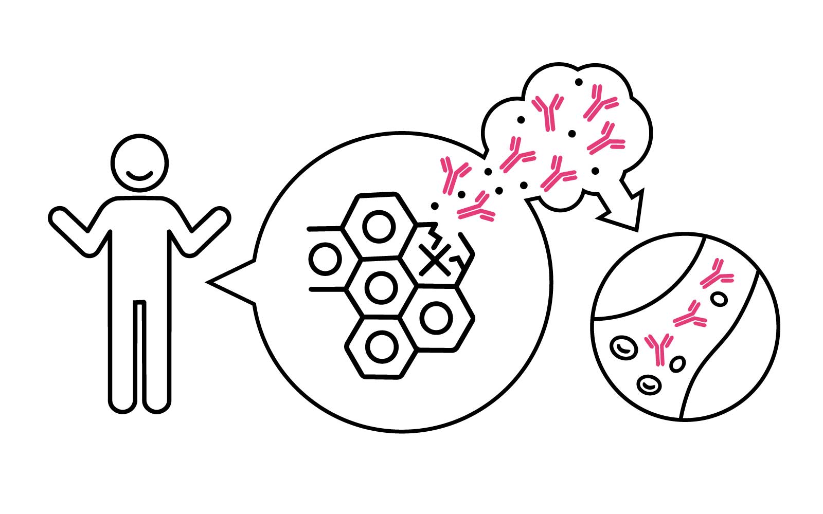 Antibody Compass project (placeholder image)